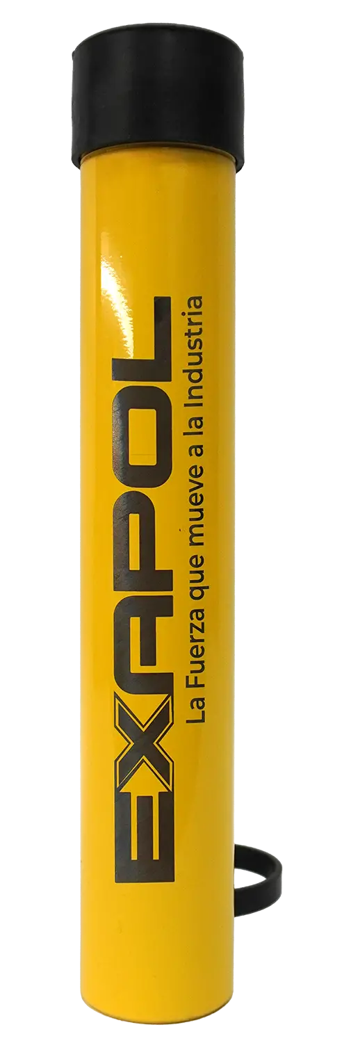 RCX-1010_01