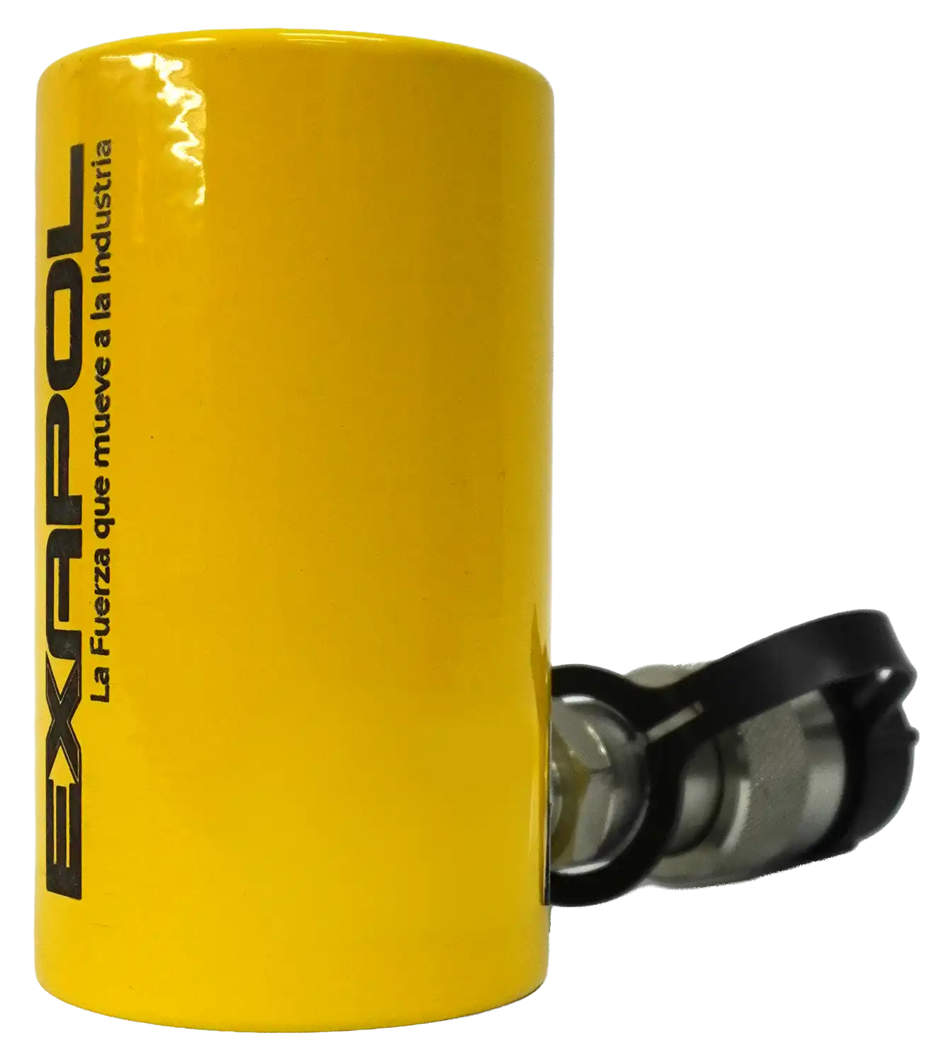 TPM-10_02