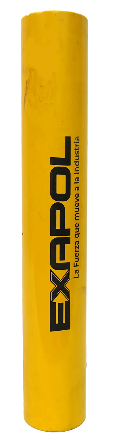 TPSA-D-10_01